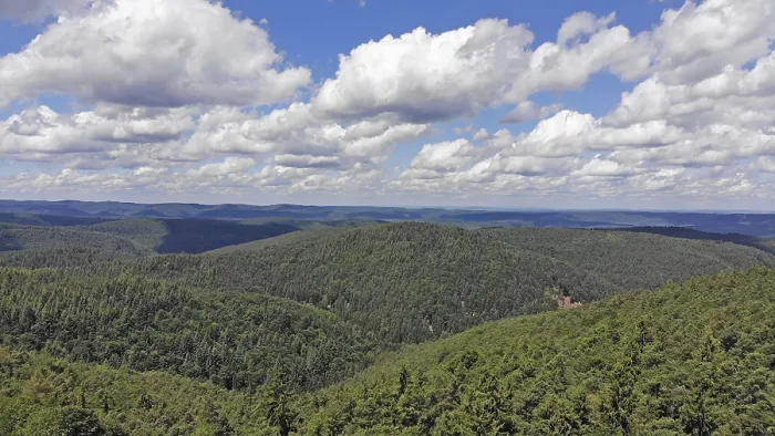 Framed Print : Panorama of the Palatinate Forest Framed Print : Panorama of the Palatinate Forest