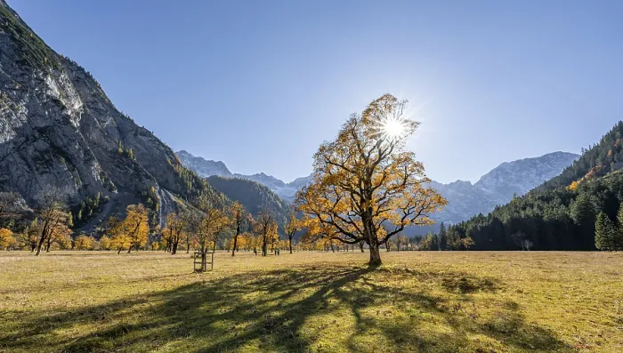 Framed Print : Panorama, sun star, Karwendel, Grosser Ahornboden in autumn Framed Print : Panorama, sun star, Karwendel, Grosser Ahornboden in autumn