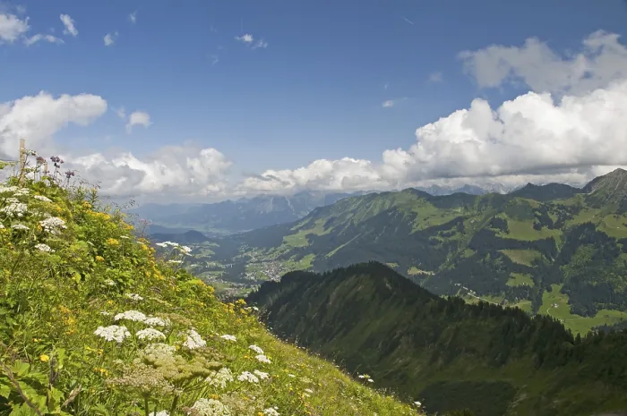 Framed Print : Panorama from the Walmendinger Horn