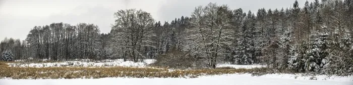 Framed Print : Panorama of the winter forest after first winter snow