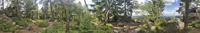 Framed Print : Panoramic view of a dense forest with trees and some rocks Framed Print : Panoramic view of a dense forest with trees and some rocks