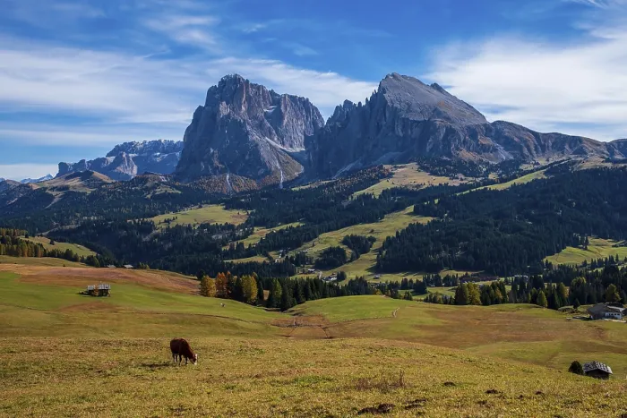 Framed Print : Panoramic view of the Sasso Lungo group in the Dolomites