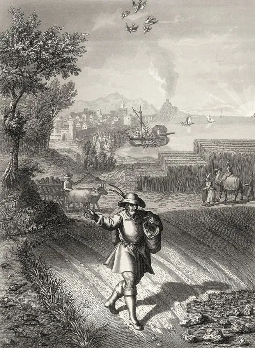 Framed Print : Parable of the sower, New Testament