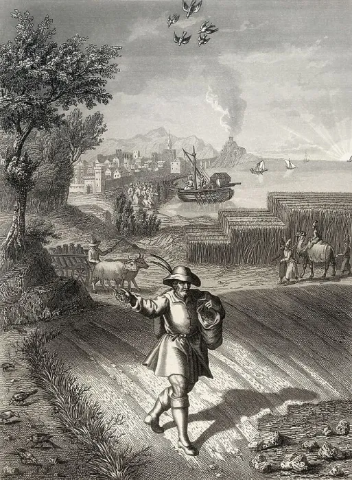 Framed Print : Parable of the sower, New Testament