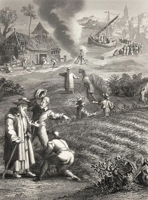Framed Print : The Parable of the Weeds, New Testament