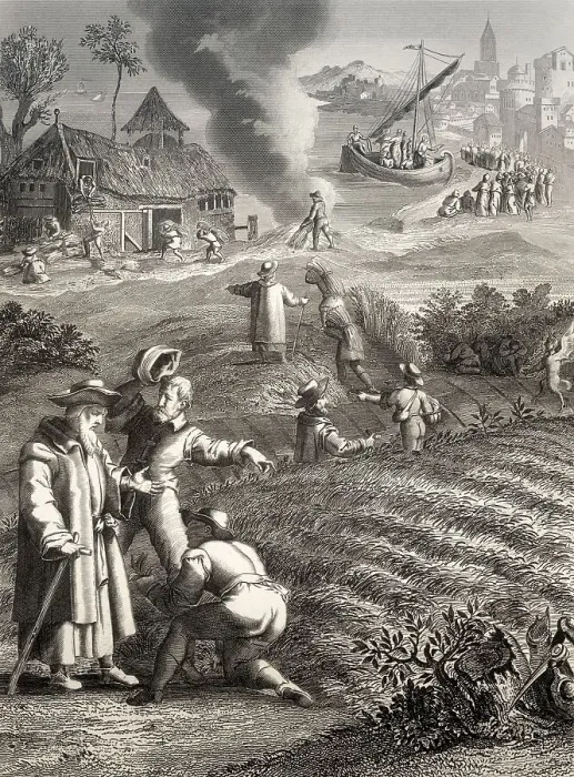 Framed Print : The Parable of the Weeds, New Testament