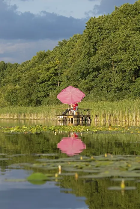 Framed Print : Parasol, reflection, Leppinsee Framed Print : Parasol, reflection, Leppinsee