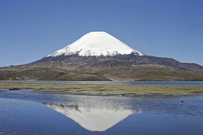 Framed Print : Parinacota Volcano, reflection in Lake Chungara Framed Print : Parinacota Volcano, reflection in Lake Chungara
