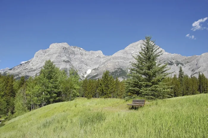 Framed Print : A park bench in the field for taking a break