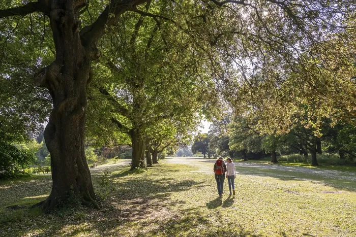 Framed Print : Park, Royal Botanic Gardens (Kew Gardens)