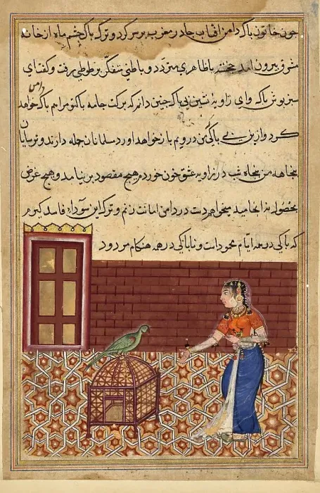 Framed Print : The parrot addresses Khujasta at the beginning of Fifty-first Night Framed Print : The parrot addresses Khujasta at the beginning of Fifty-first Night