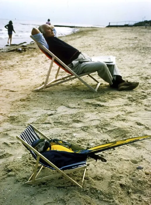 Framed Print : Parrot in deck chair, England, Great Britain