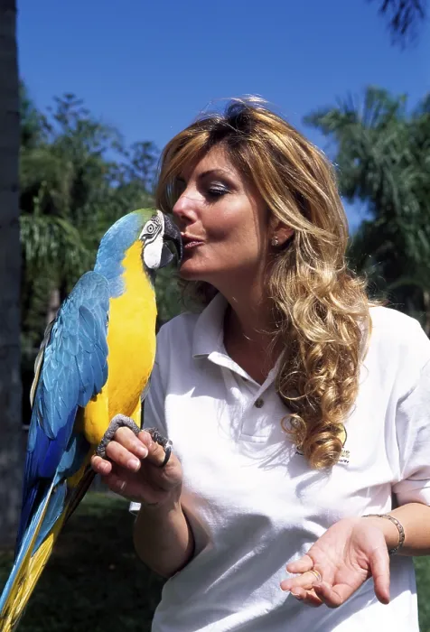 Framed Print : Parrot show in Loro Park, Puerto de la Cruz