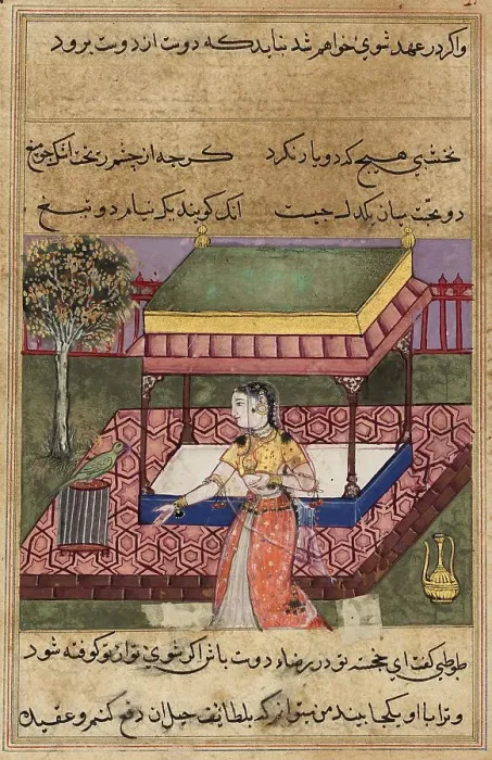 Framed Print : The parrot speaks to Khujasta at the beginning of the fortieth night Framed Print : The parrot speaks to Khujasta at the beginning of the fortieth night