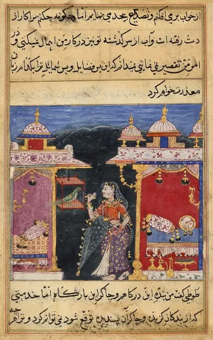 Framed Print : The parrot speaks to Khujasta at the beginning of the seventh night