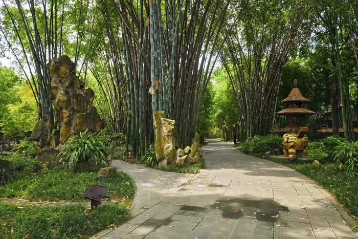 Framed Print : Path in bamboo forest brove in Wangjiang Pavilion (Wangjiang Tower) Wangjianglou Park