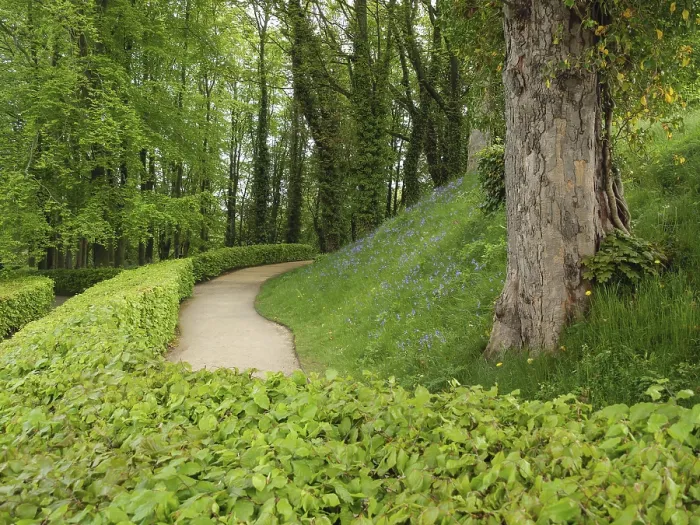 Framed Print : A path lined with hedges leads through a green Framed Print : A path lined with hedges leads through a green