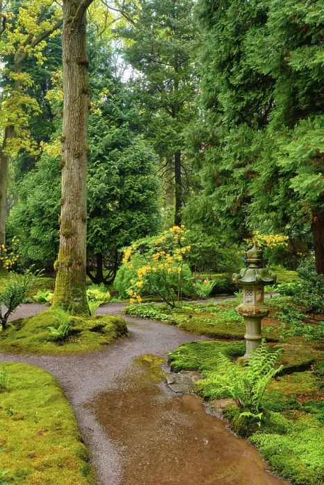 Framed Print : Path and stone lantern in Japanese garden Framed Print : Path and stone lantern in Japanese garden