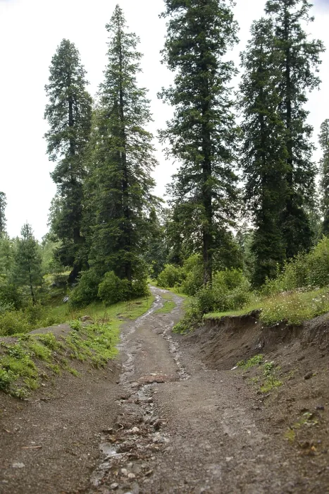 Framed Print : A Pathway into the Mountains in Nathia Gali