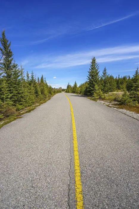 Framed Print : A paved road leading off into the distance past stands of evergreen trees