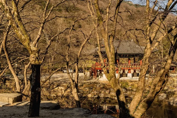 Framed Print : Pavilion behind leafless trees at Buddhist temple on late autumn morning
