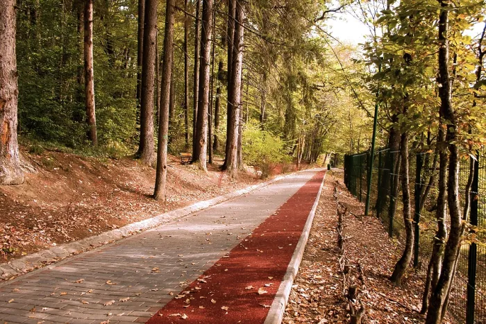 Framed Print : Peaceful path with Bike stripe in the forest in autumn