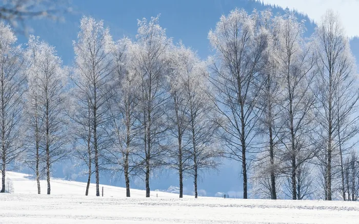 Framed Print : Peaceful snowy landscape in Tragos Framed Print : Peaceful snowy landscape in Tragos
