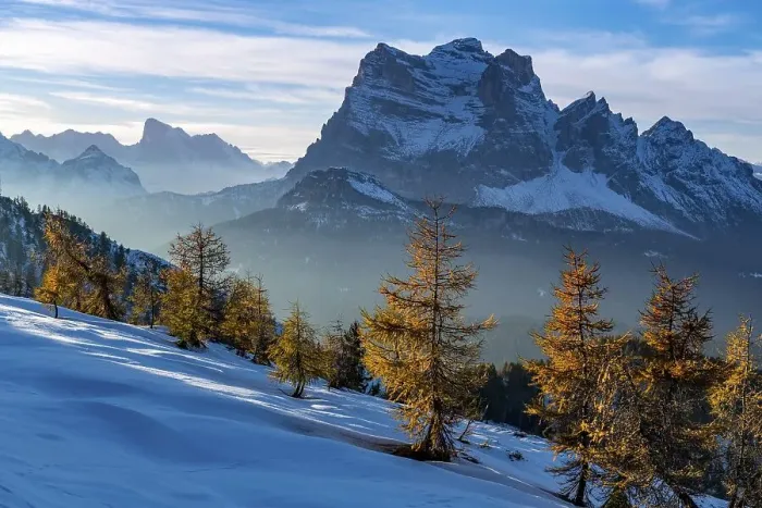 Framed Print : Peak of Monte Pelmo in the evening light with larch forest in the foreground