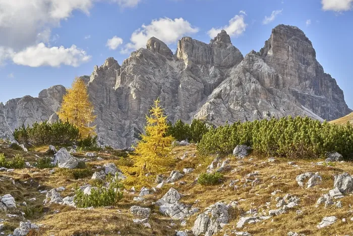 Framed Print : Three Peaks nature park Park, Autumn