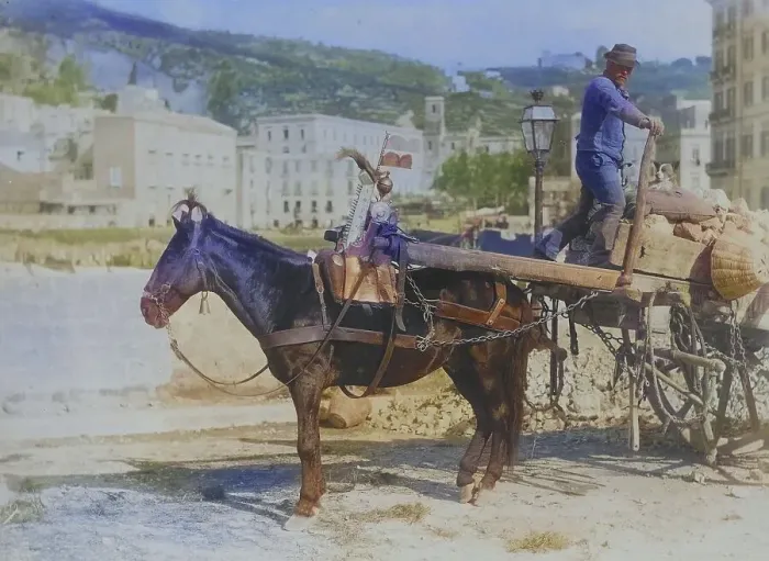 Framed Print : Peasant with a horse cart, street scene in Naples in 1878