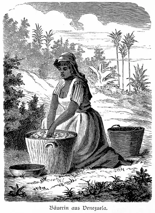 Framed Print : Peasant woman, harvest, basket