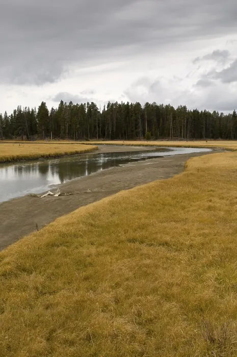 Framed Print : Pelican Creek, Yellowstone National Park