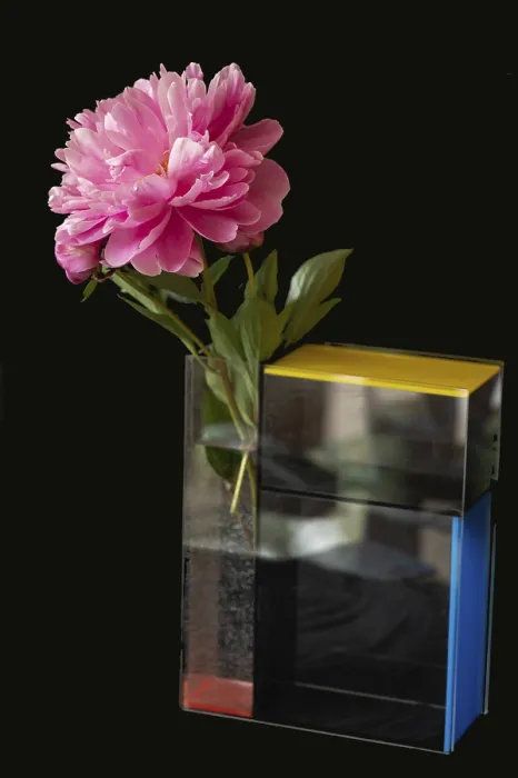 Framed Print : Peony (Paeonia) in a modern vase