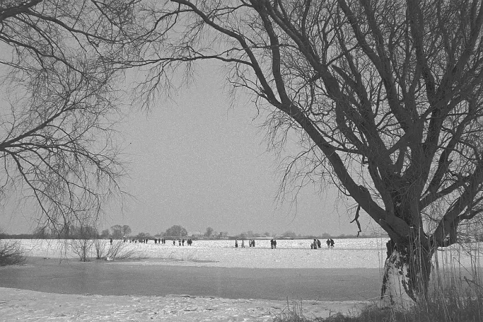 Framed Print : People walk across ice rink, trees Framed Print : People walk across ice rink, trees