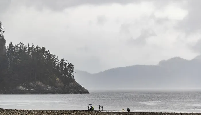 Framed Print : People walking on a misty beach with towering trees