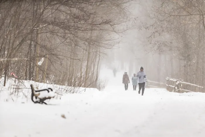 Framed Print : People walking down a snow-covered path in a forested winter scene in London