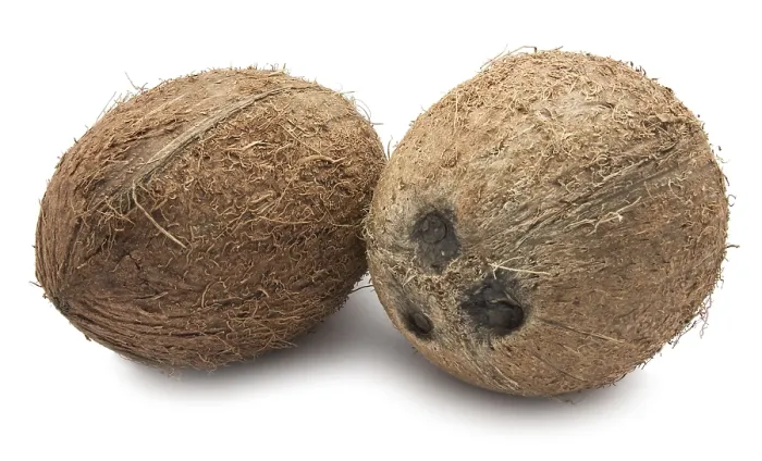 Framed Print : Perfect fresh coconut isolated on white background