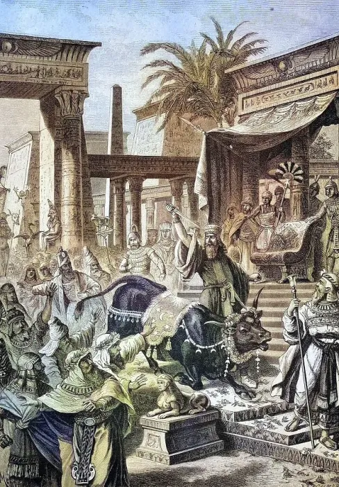 Framed Print : The Persian king Cambyses kills the sacred bull (Apis)