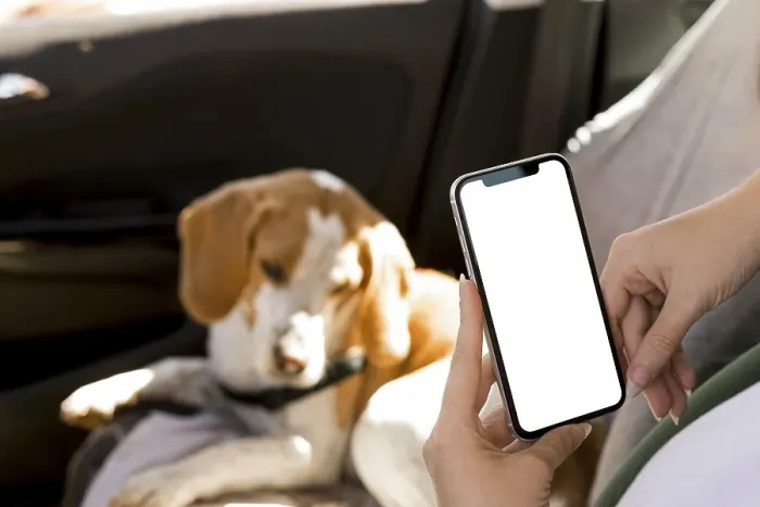 Framed Print : Person holding mobile phone blurred dog background Framed Print : Person holding mobile phone blurred dog background