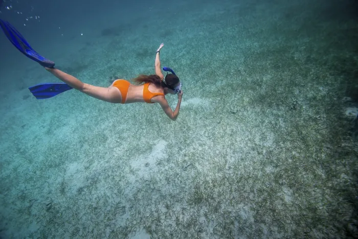 Framed Print : A person snorkeling underwater in clear ocean water Framed Print : A person snorkeling underwater in clear ocean water