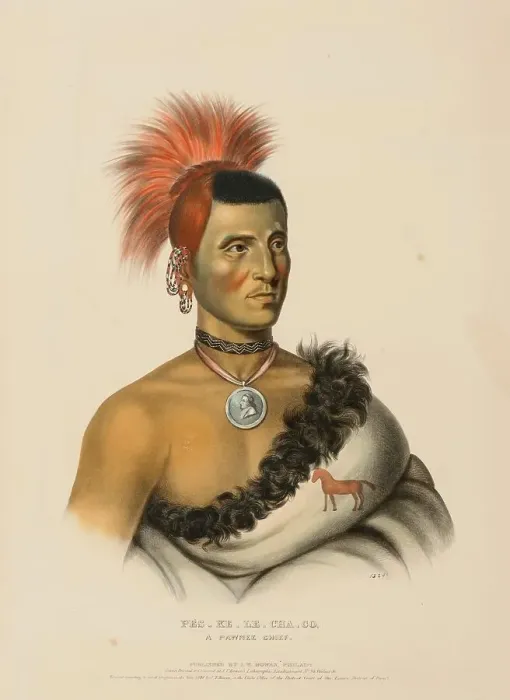 Framed Print : Pes-Ke-Le-Cha-Co, A Pawnee Chief (1841)