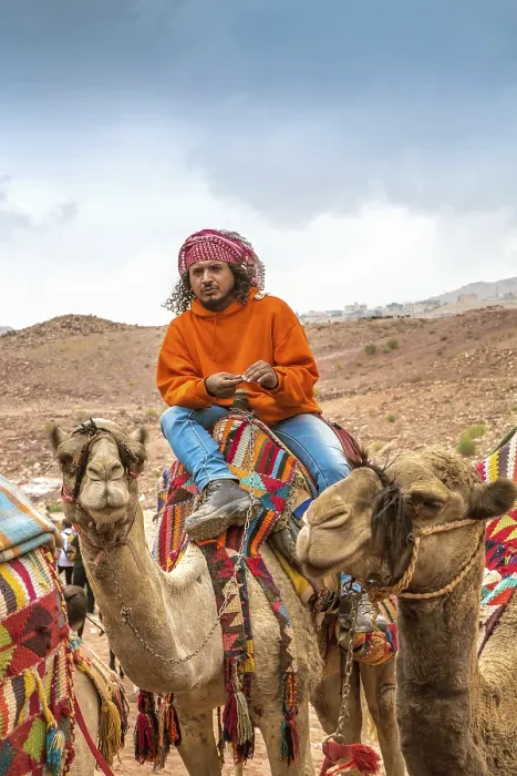 Framed Print : Petra, Jordan - October 26, 2015: Bedouin on a camel