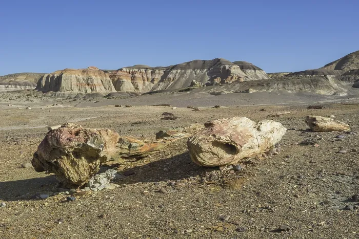 Framed Print : Petrified forest Bosque Petrificado National Monument