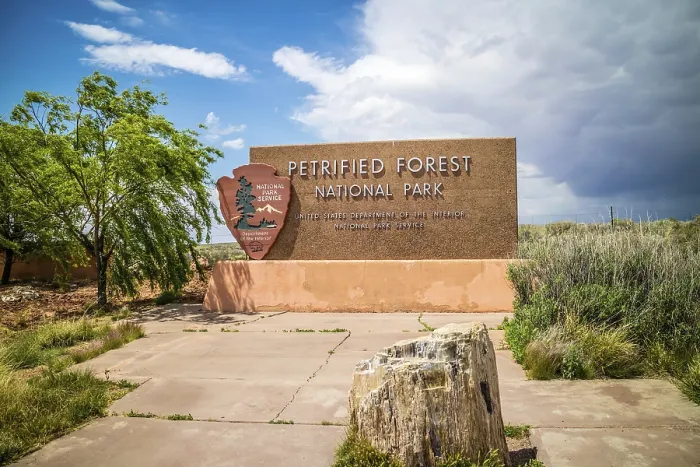Framed Print : Petrified Forest National Park Framed Print : Petrified Forest National Park