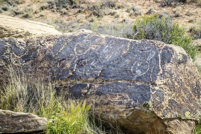 Framed Print : Petrified rocks of late Triassic period in Petrified Forest Nationa Park