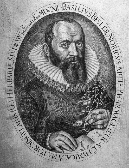 Framed Print : Pharmacist, botanist and publisher Framed Print : Pharmacist, botanist and publisher