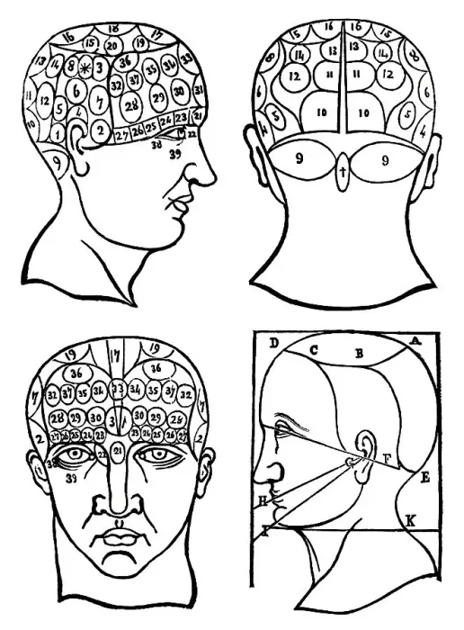 Framed Print : Physiognomony and craniology, 19th century