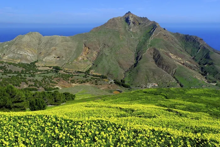 Framed Print : Pico Branco, Porto Santo Island