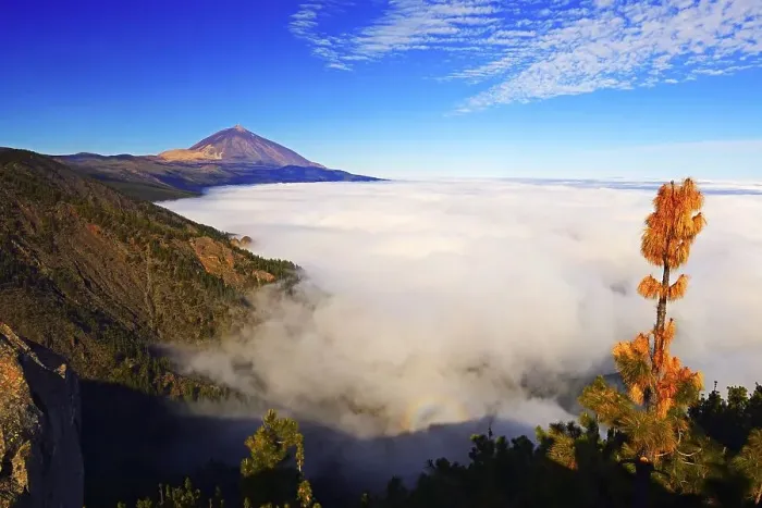 Framed Print : Pico del Teide at sunrise over trade wind clouds Framed Print : Pico del Teide at sunrise over trade wind clouds