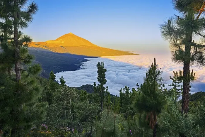 Framed Print : Pico del Teide at sunrise over trade wind clouds